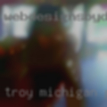 Troy, Michigan partner